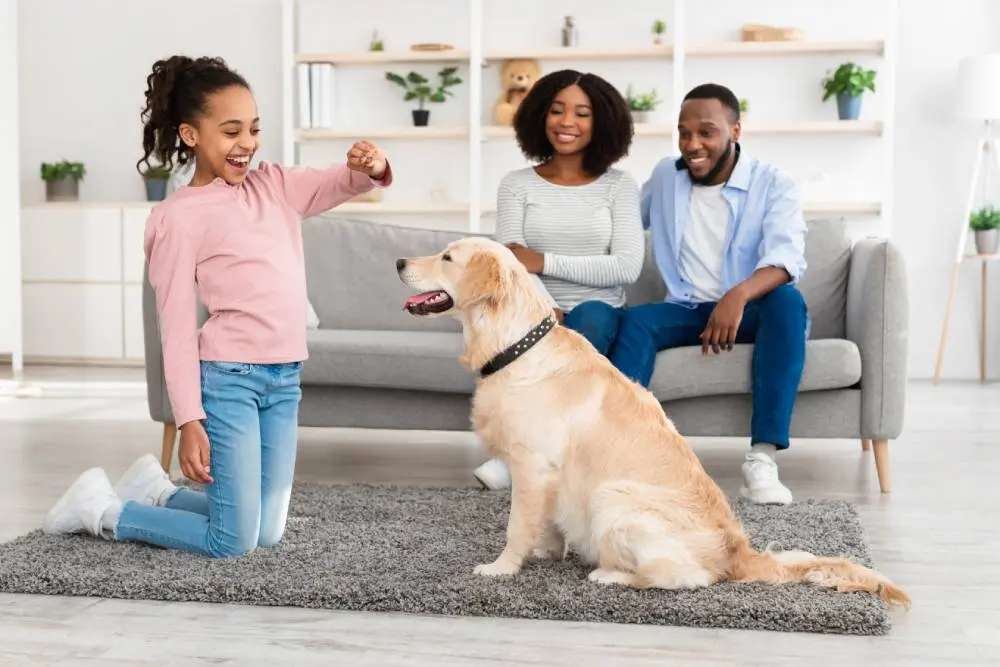 Simplifying Dog Training at Home: Practical Techniques for Puppies and Adults